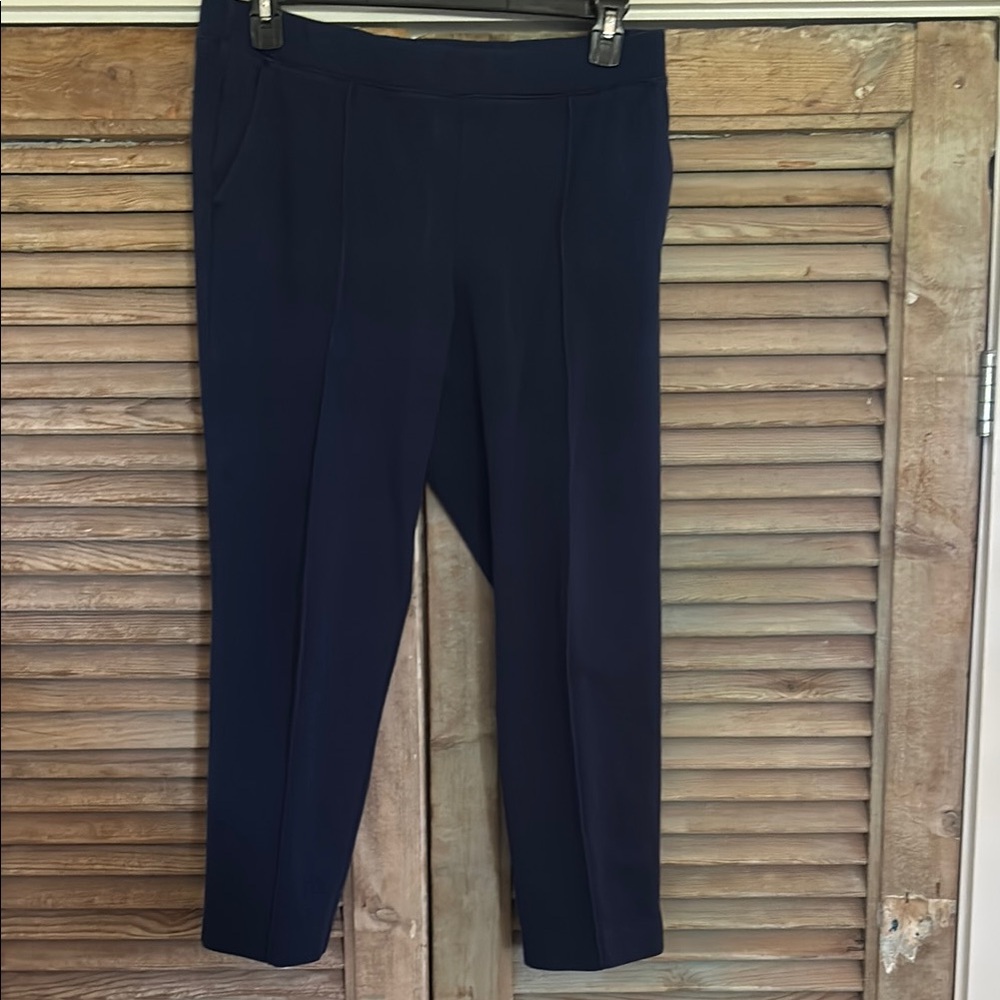 Blue Cropped Ankle Pants with Elastic Waistband